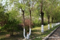 W(xu)Уh(hun)