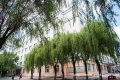 W(xu)Уh(hun)