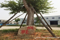 銅陵智通職業(yè)技術(shù)學(xué)校烹飪與營(yíng)養(yǎng)