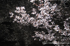 淡水養(yǎng)殖技術(shù)專(zhuān)業(yè)